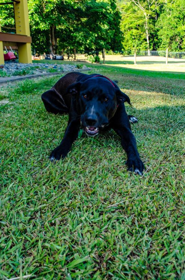 Cairns Homestead Redlynch Pet And Family Friendly Ngoại thất bức ảnh