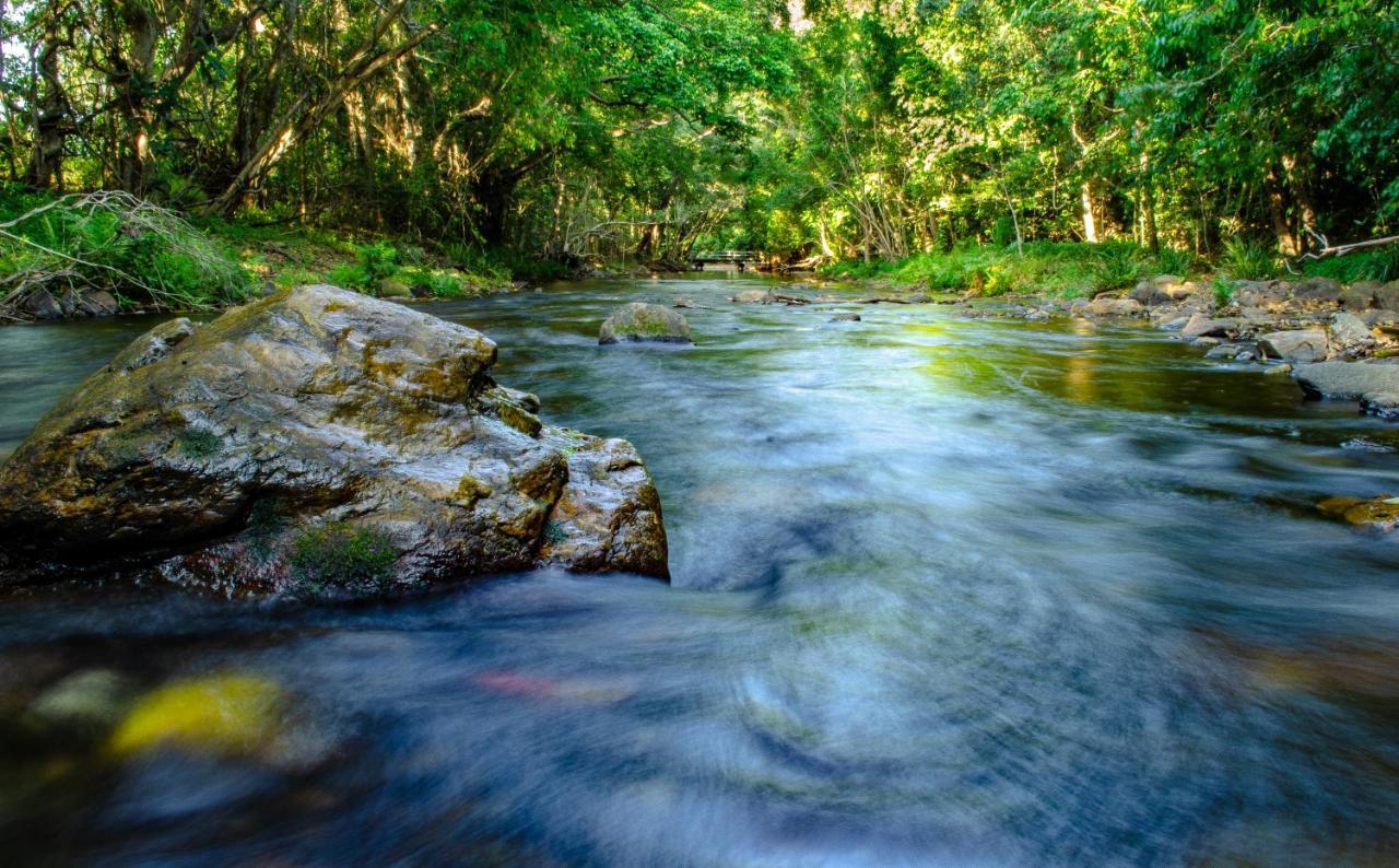 Cairns Homestead Redlynch Pet And Family Friendly Ngoại thất bức ảnh